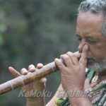 ハワイ島より　特別企画のご案内です！