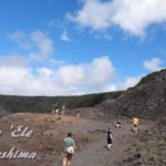 ハワイ島フォト日記　オヒア＆レフアはハワイ島の代表花！