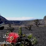 ハワイ島フォト日記 ハレマウマウ噴火!!!!!!!か? ハワイ島フォト日記 ハレマウマウ噴火!!!!!!!か?