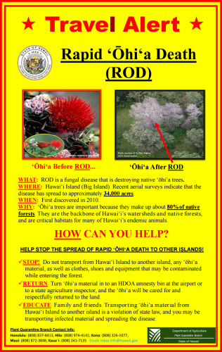 2016-03-23-ohia-travel-alert