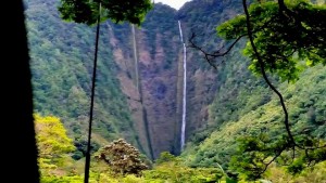 11124206_354265844782459_1198288883_n