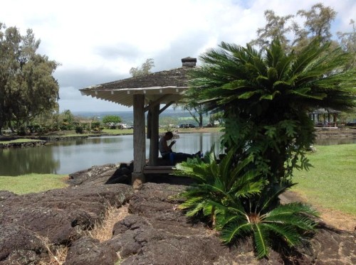 13087933_10206383332323283_1123527157029287185_n