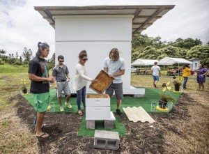 3442072_web1_UHH_Model_Beehive_3