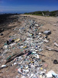 3584539_web1_courtesy_marinedebris