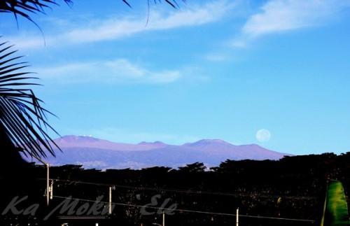 2009.11.03 237 - Copy