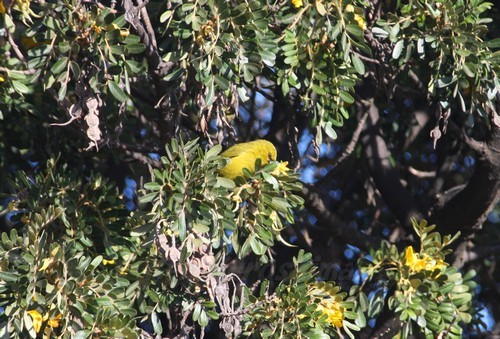 0c33efd02e7a60a19081dde5bf088165