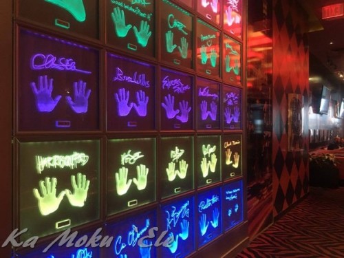 14371966_929384307173538_372565687_n