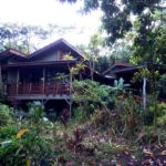 ハワイ島フォト日記 キモ・ヘンダーソンHULA ハワイ島フォト日記 キモ・ヘンダーソンHULA