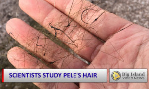 2016-11-10-pelehair-400x240