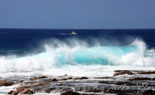 14449938_1127530100666881_1488506953241980662_n