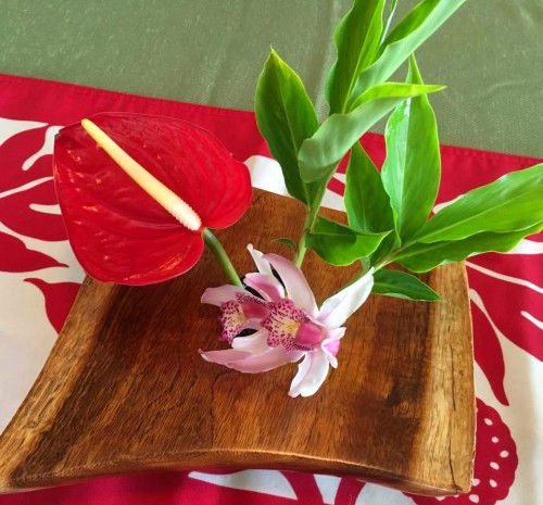 15181220_997535457025089_8485120395842715017_n