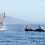 ハワイ島週刊ニュース　2018年　1月＃３